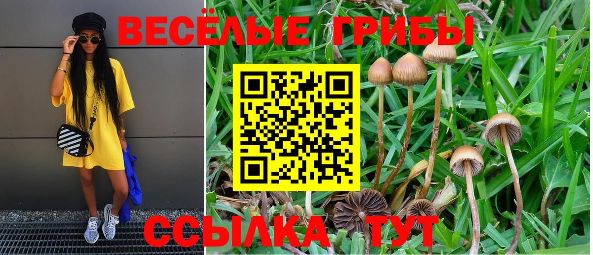 Усть-Кут  Псилоцибиновые грибы ЛСД  Галлюциногенные грибы MAGIC MUSHROOMS  где купить наркоту  Вход с VPN 